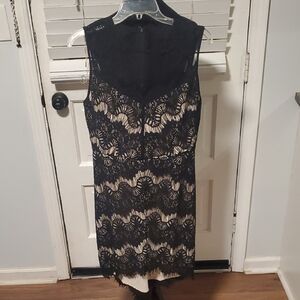 Greylin Black and Cream Lace Mini Dress